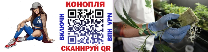 Цена Королёв Alpha-PVP  Меф мяу мяу  Вейп ТГК  АМФ  Cocaine  Марихуана  ГАШ 
