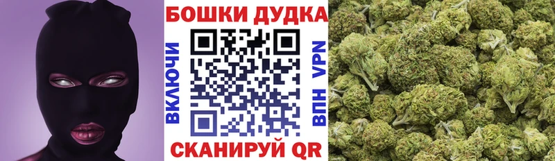 купить наркотики сайты  Королёв  Бошки Шишки план 